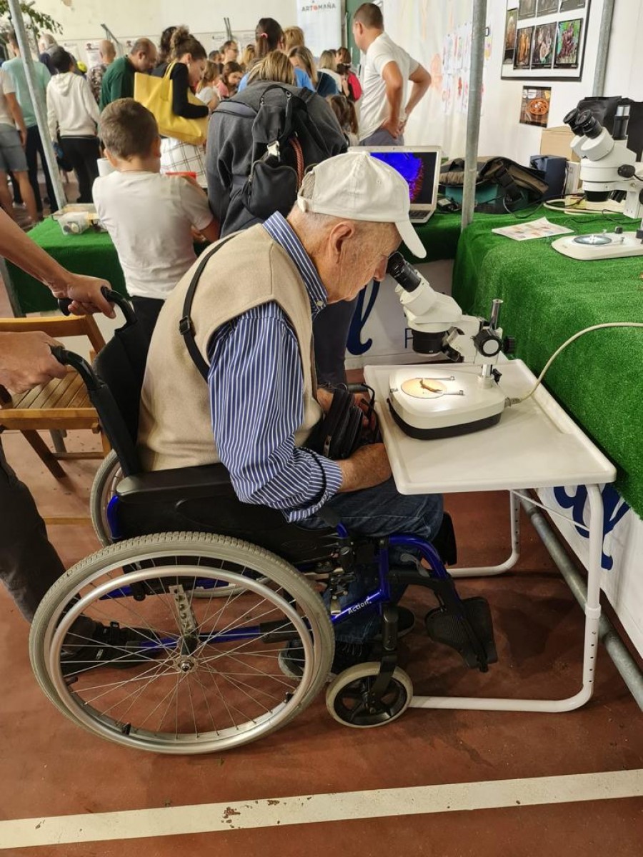 1200-1666020556-Mikologia irisgarritasuna.jpeg